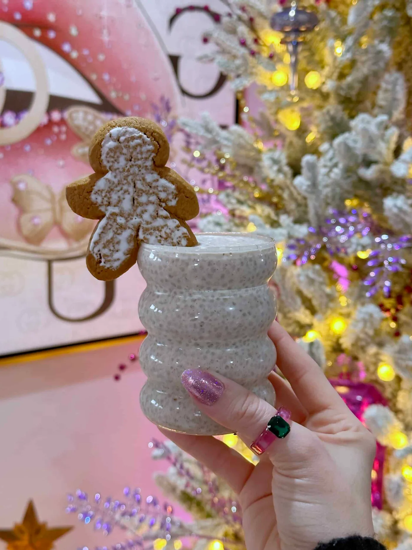 Gingerbread Chia Pudding