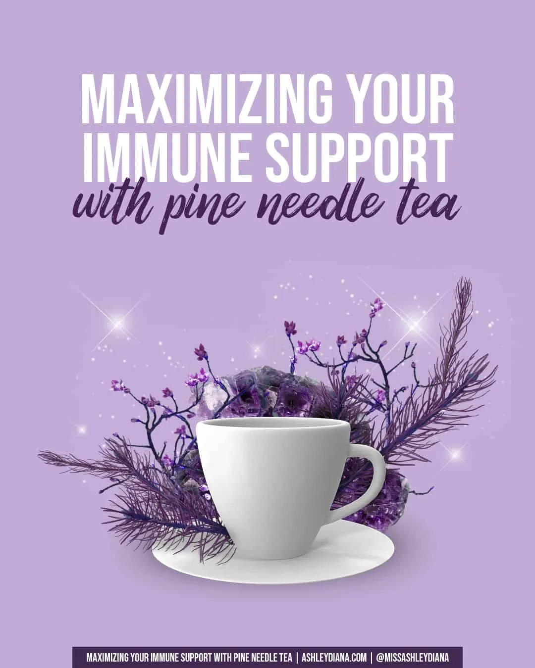 Maximizing Your Immune Support with Pine Needle Tea