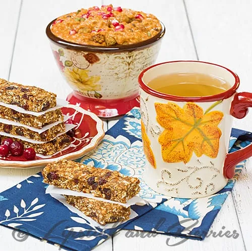 No-Bake Autumn Granola Bars