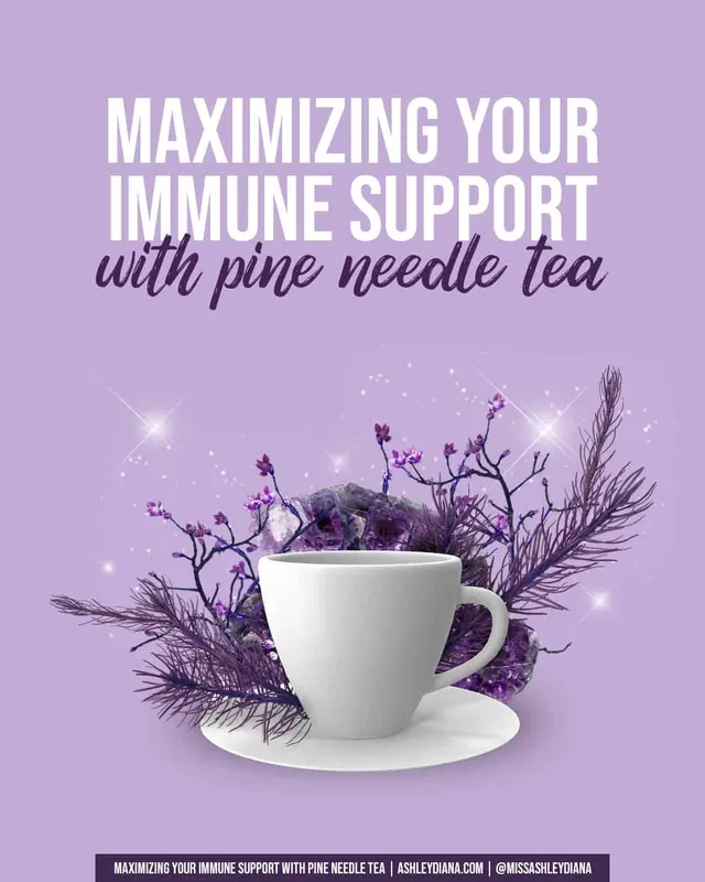 Maximizing Your Immune Support with Pine Needle Tea