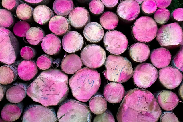 Sustainability is Sexy: 10 Things You Can Do NOW to Reverse Climate Change.