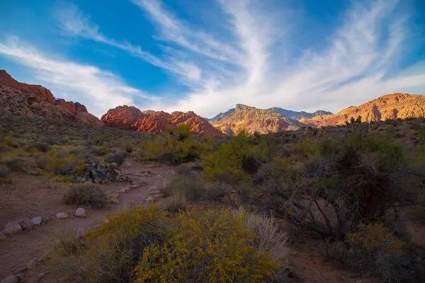 Top Freebies In Las Vegas That You Need To Know About