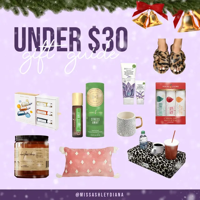 Under $30 Gift Guide!