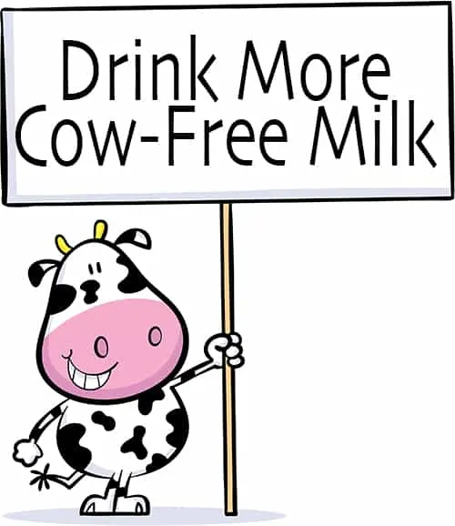 What Exactly is Non-Dairy Milk
