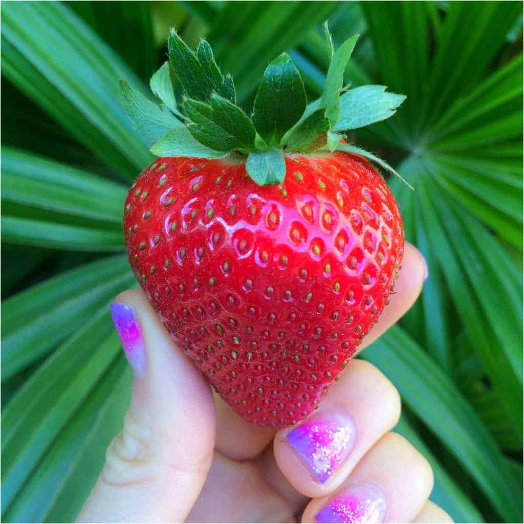 CloseUpStrawberry