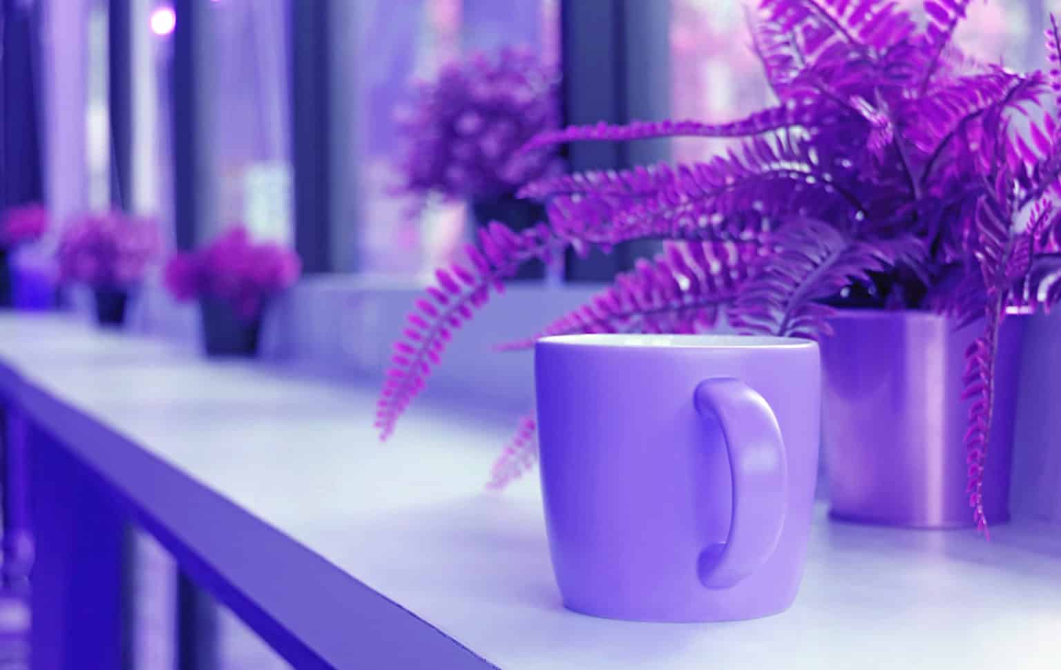 Purple tea picture