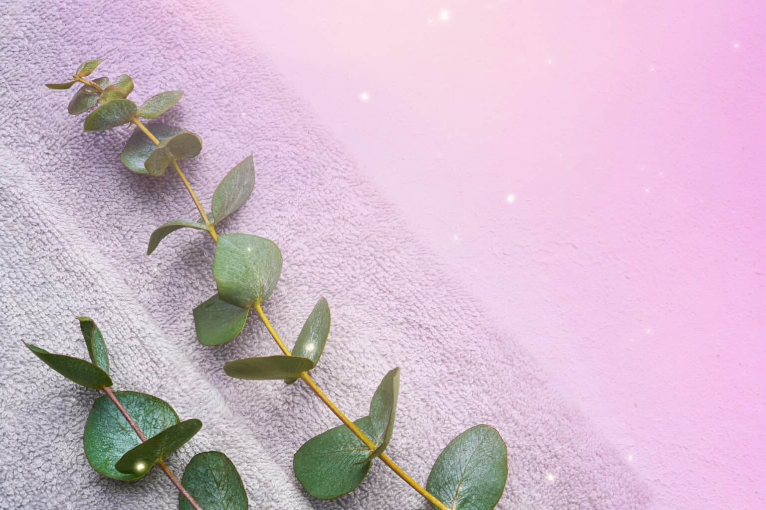 10 Must-Have Essential Oils for Summer