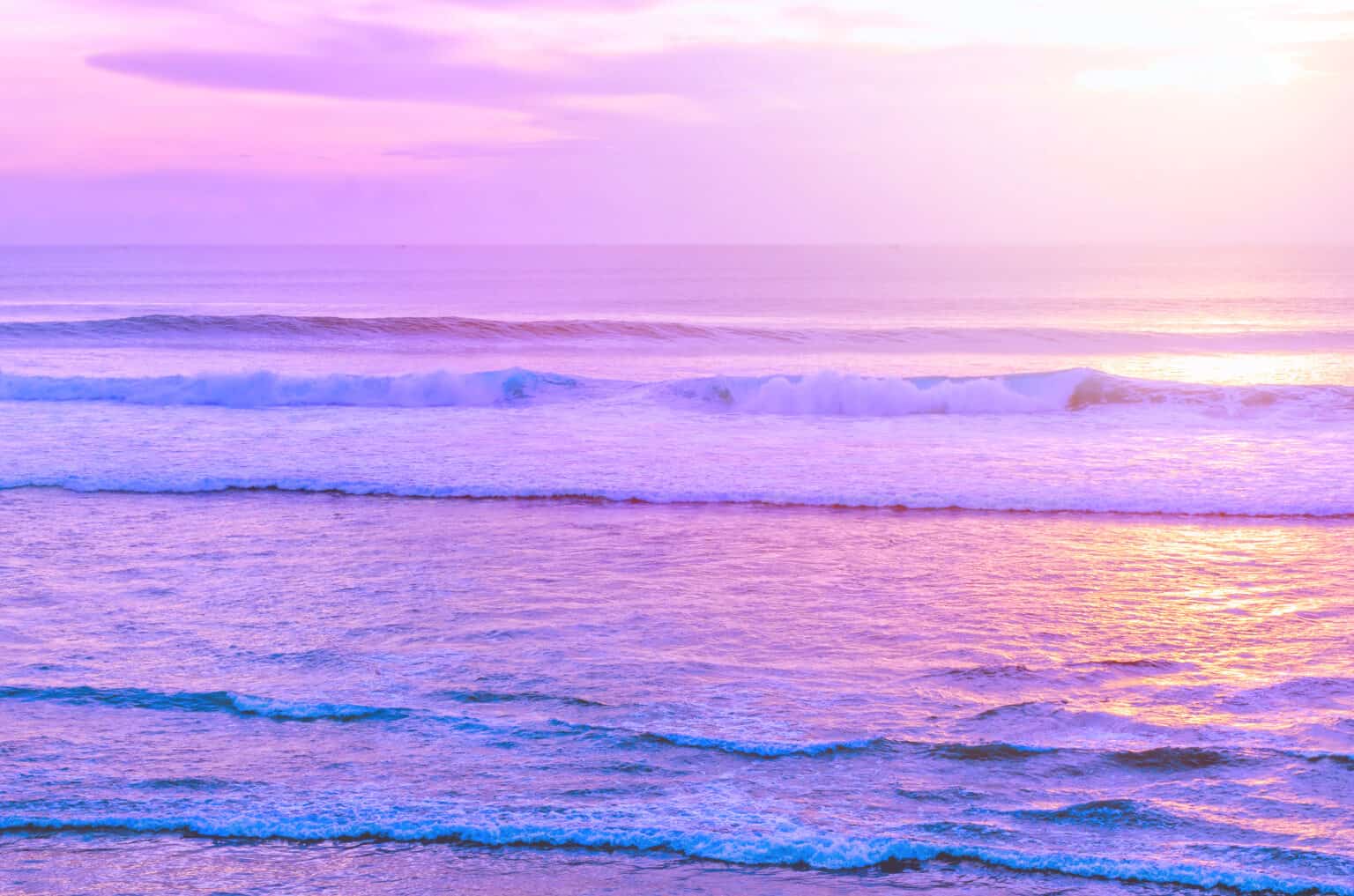 10 Must-Have Essential Oils for Summer