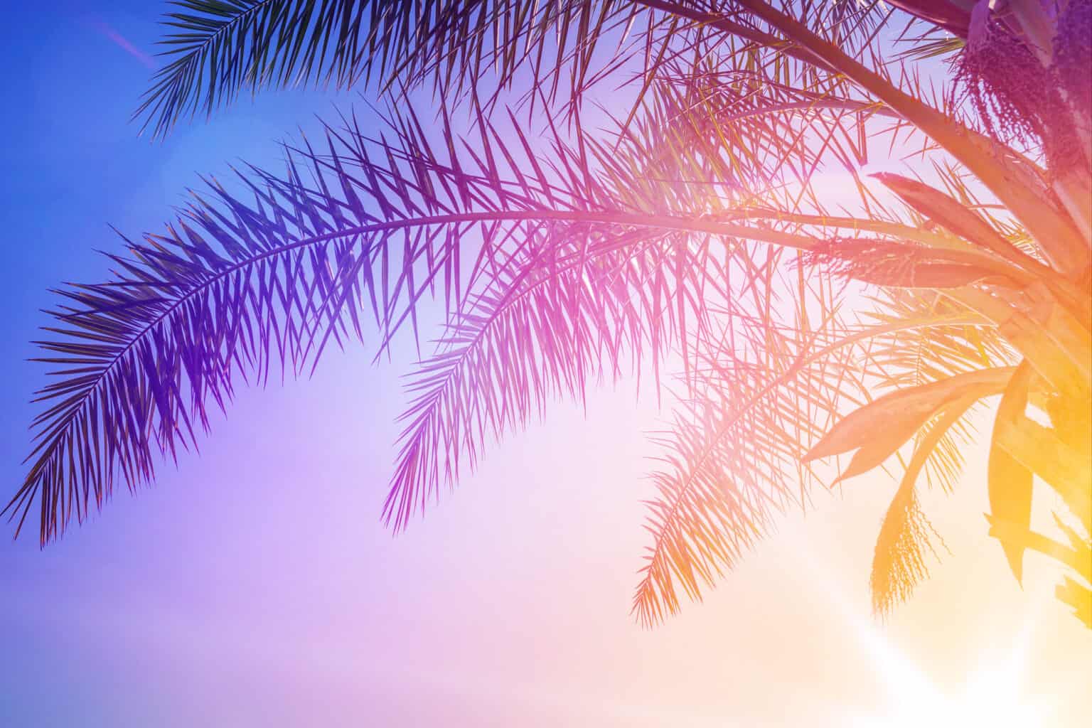 10 Must-Have Essential Oils for Summer