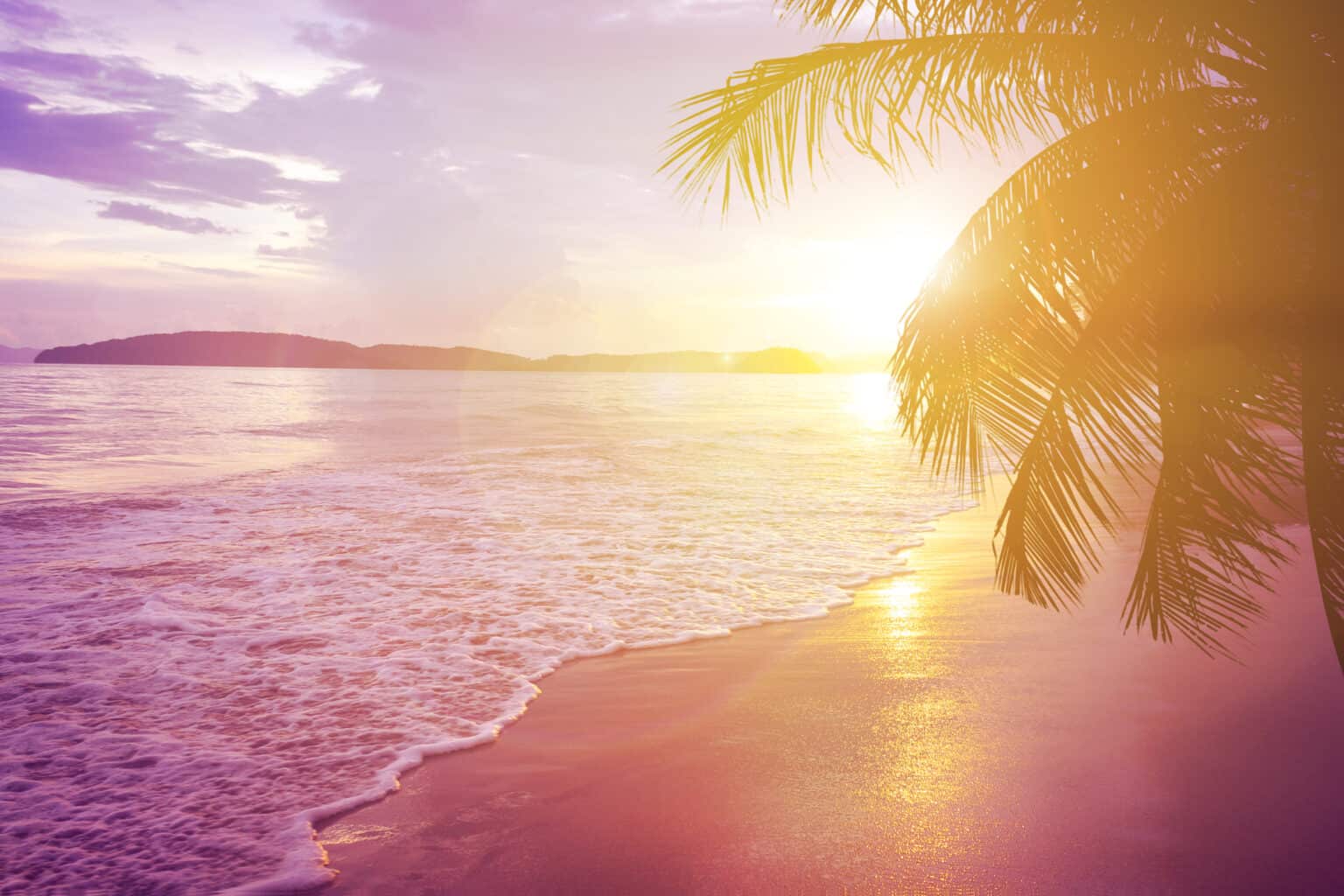 10 Must-Have Essential Oils for Summer