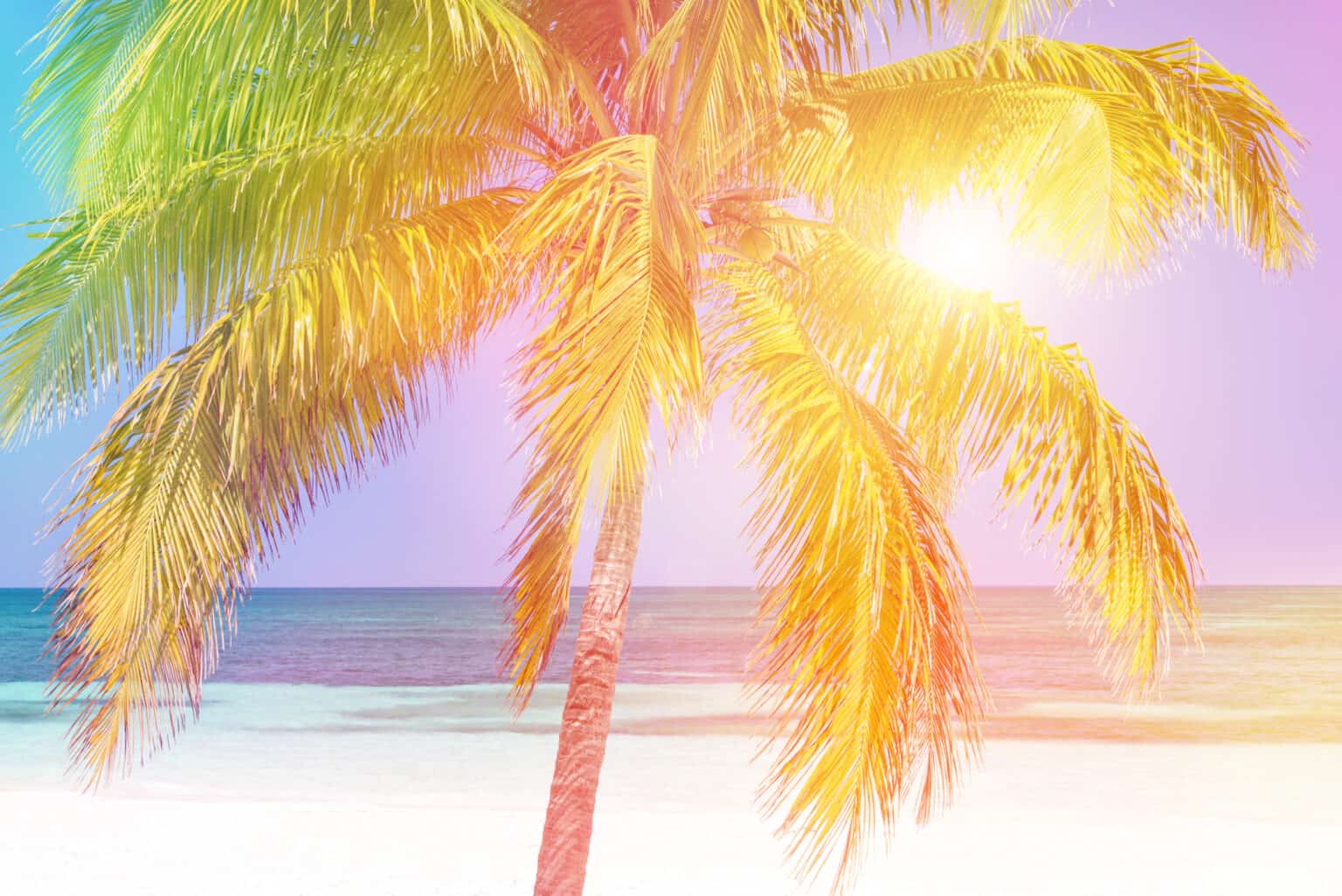10 Must-Have Essential Oils for Summer