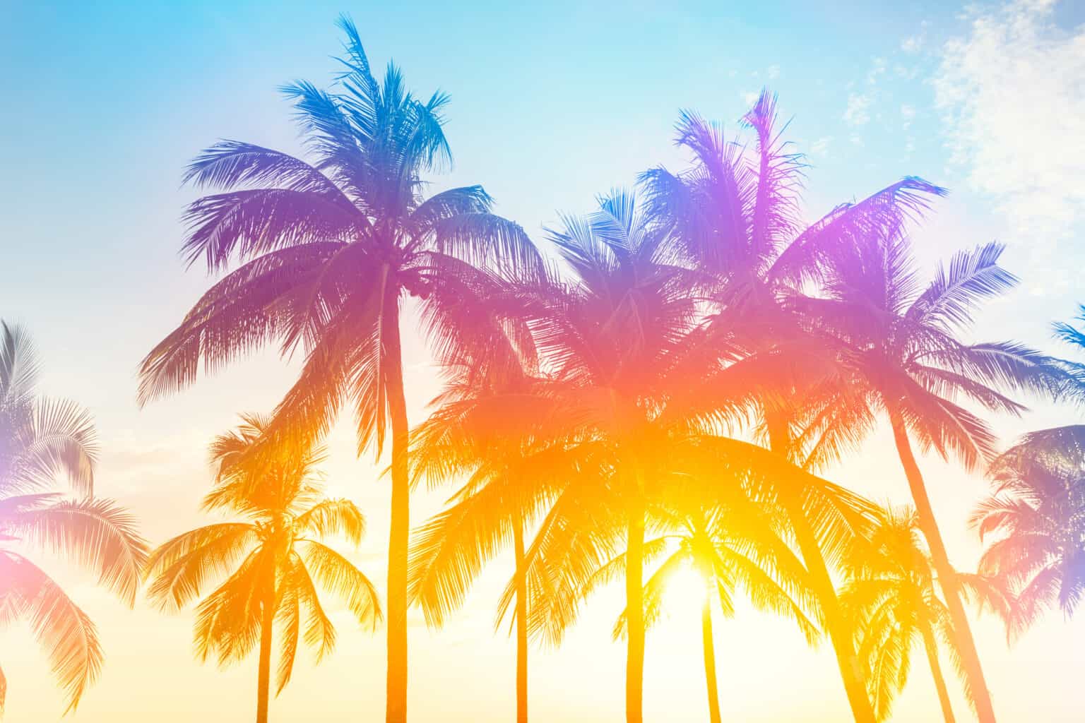 10 Must-Have Essential Oils for Summer