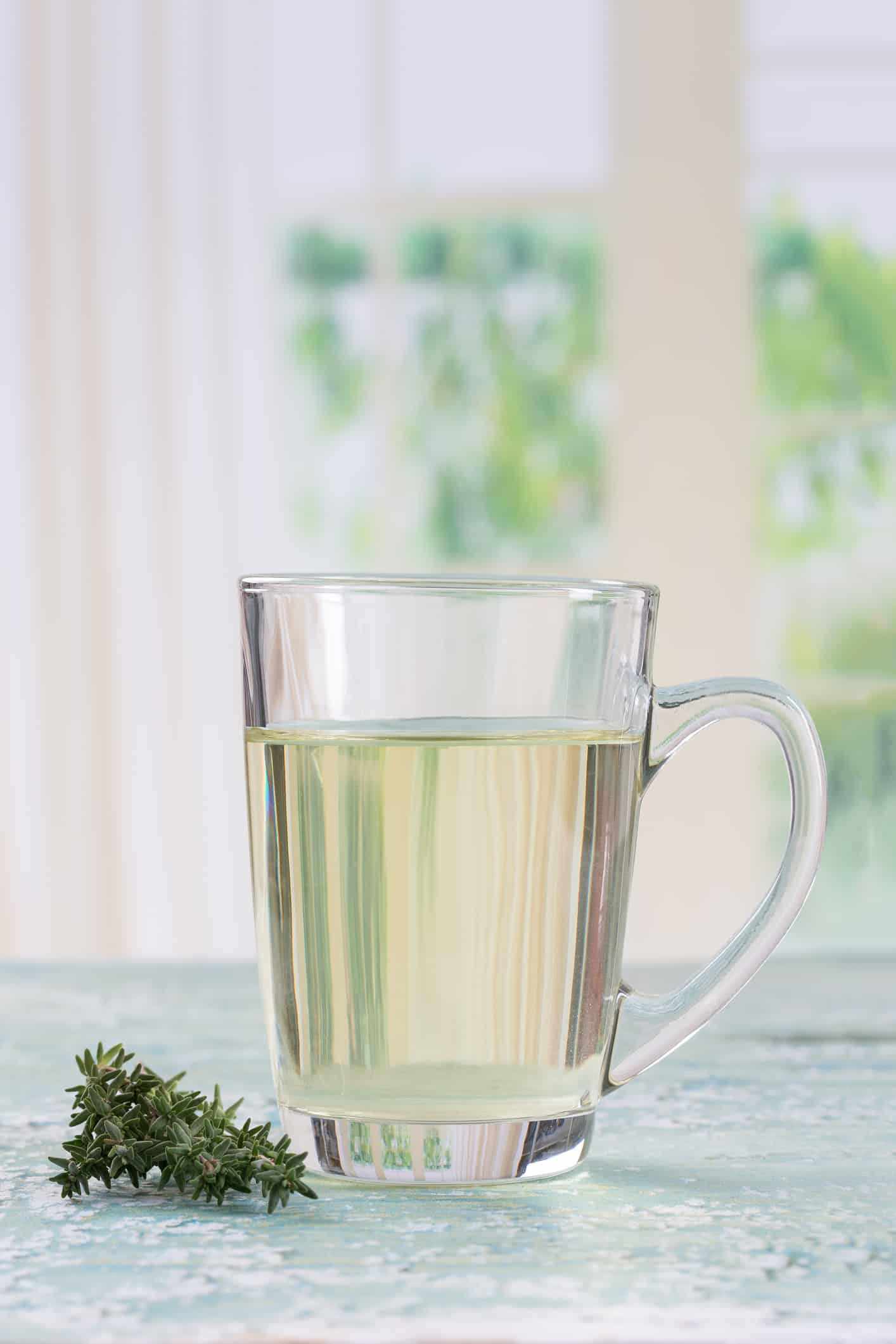 Maximizing Your Immune Support with Pine Needle Tea
