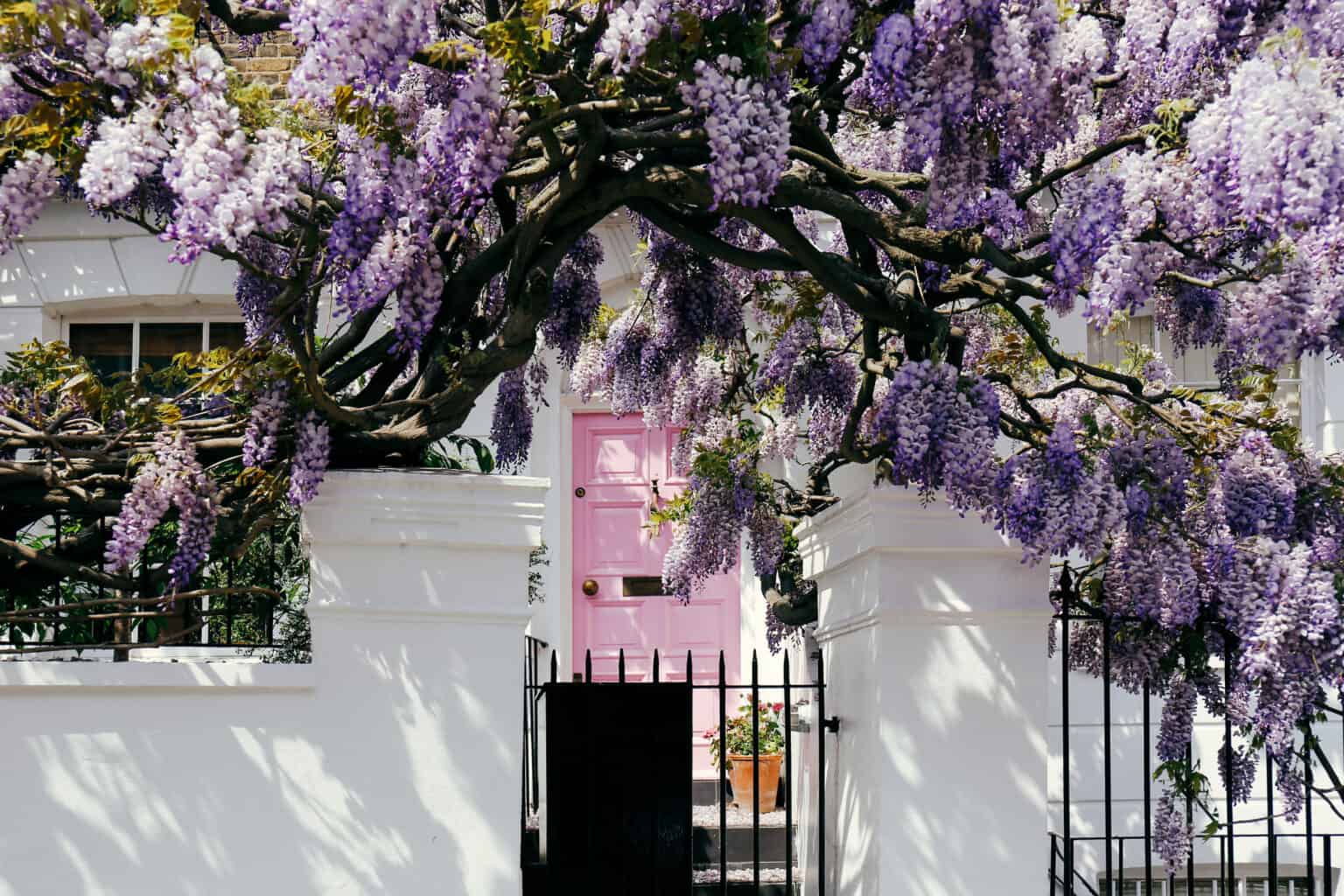 Thoughts From Spending A Month In London || What I Loved & Didn’t Love