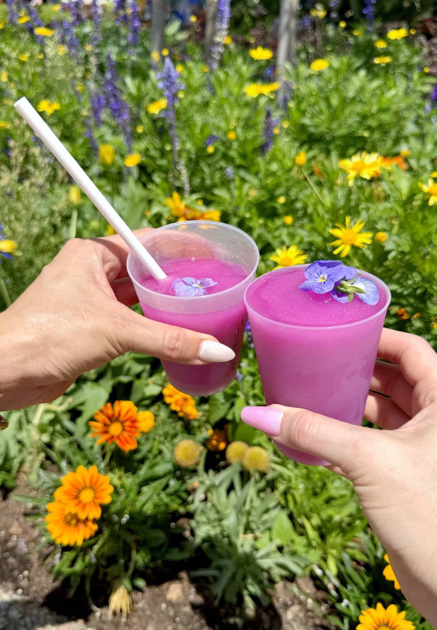 Disney World Tips + Adult Disney at Epcot Fun