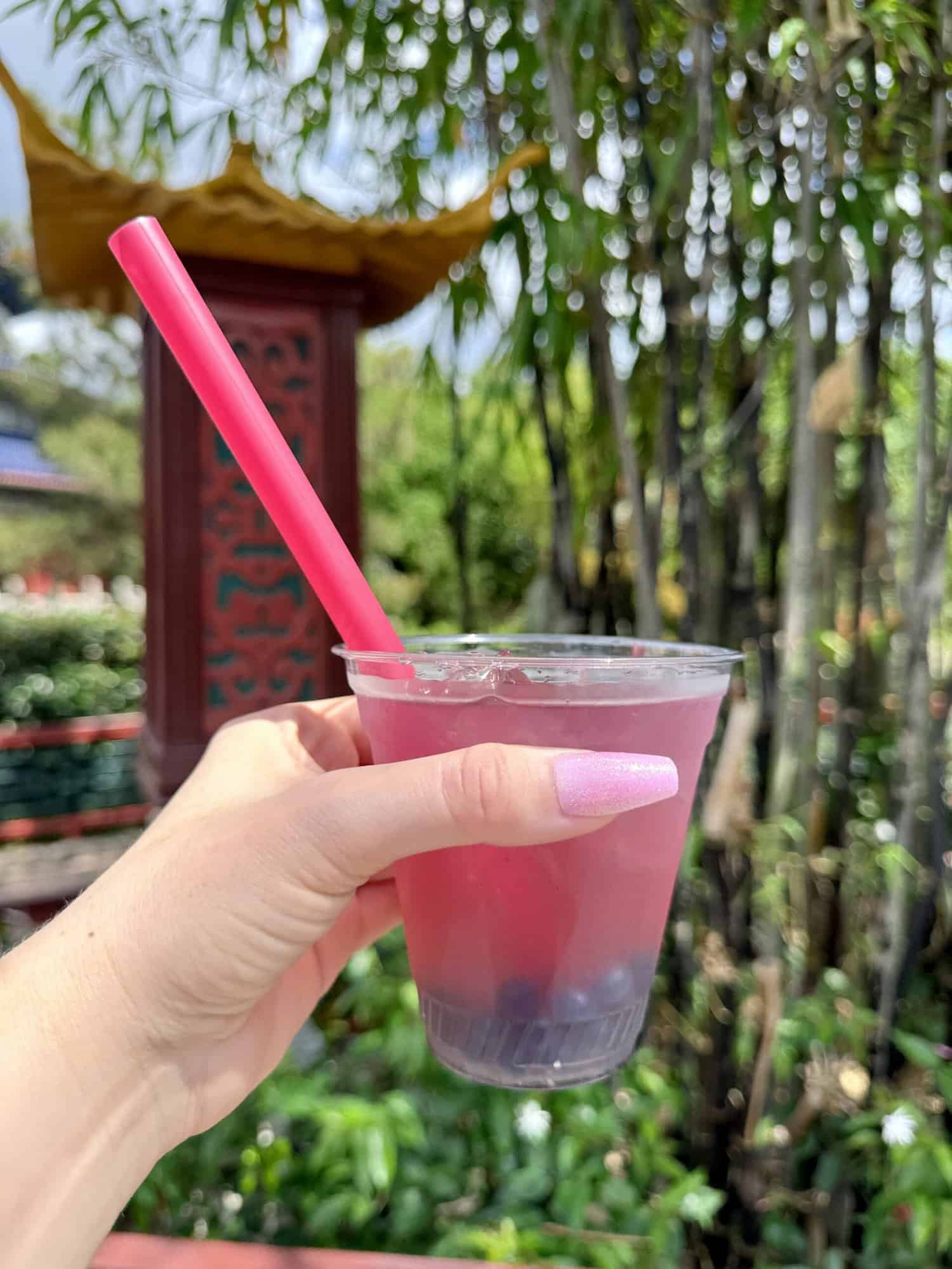 Disney World Tips + Adult Disney at Epcot Fun