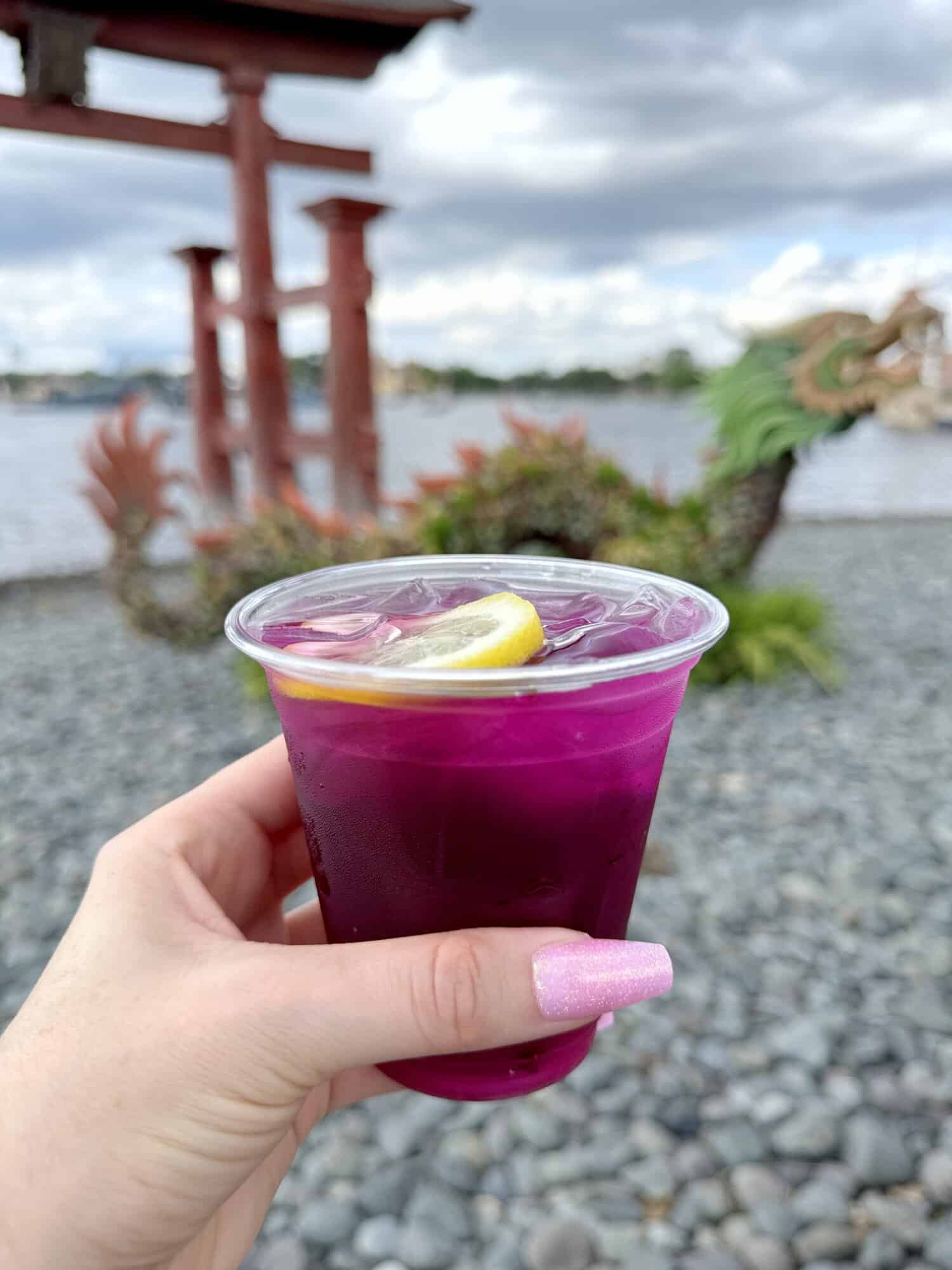 Disney World Tips + Adult Disney at Epcot Fun
