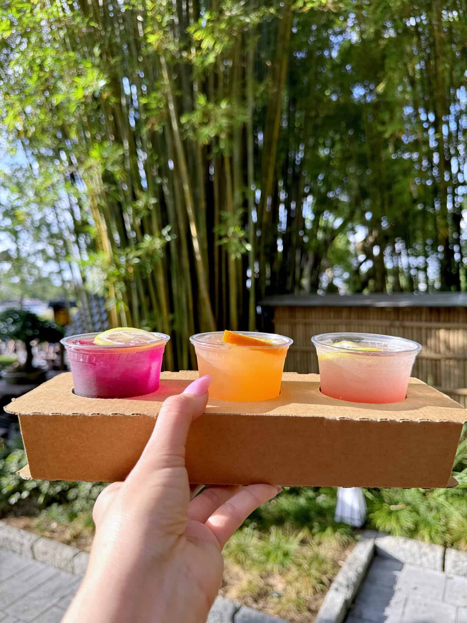 Disney World Tips + Adult Disney at Epcot Fun